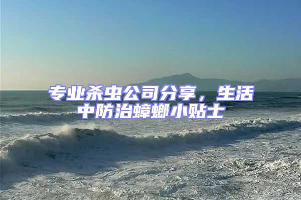 專業殺蟲公司分享，生活中防治蟑螂小貼士
