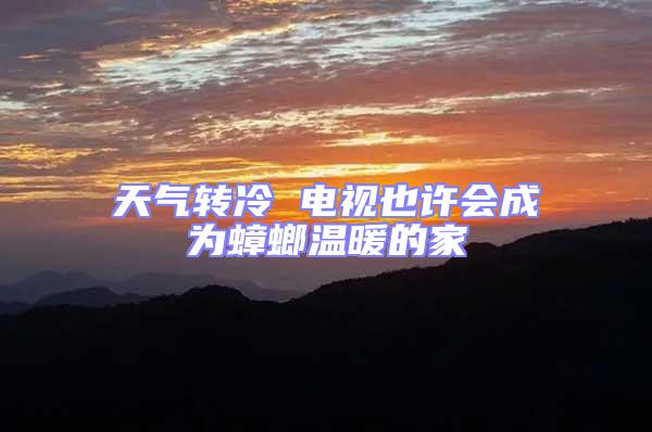 天氣轉(zhuǎn)冷 電視也許會成為蟑螂溫暖的家