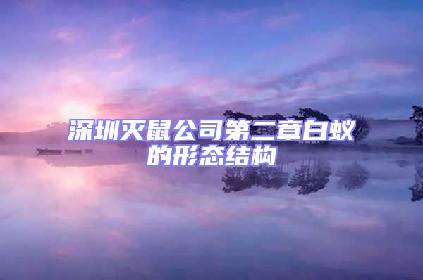 深圳滅鼠公司第二章白蟻的形態結構