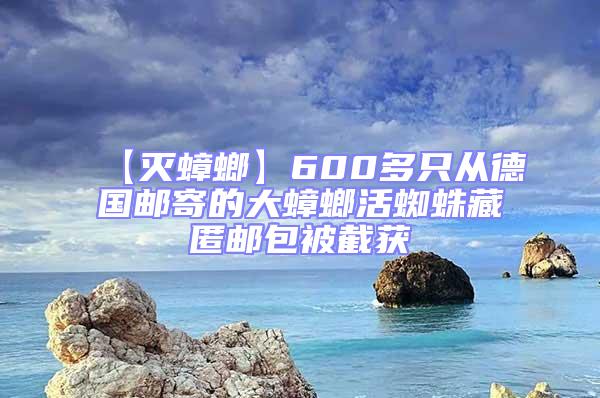 【滅蟑螂】600多只從德國(guó)郵寄的大蟑螂活蜘蛛藏匿郵包被截獲