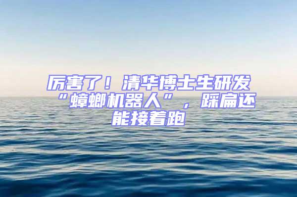 厲害了！清華博士生研發“蟑螂機器人”，踩扁還能接著跑