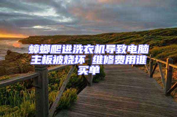 蟑螂爬進(jìn)洗衣機(jī)導(dǎo)致電腦主板被燒壞 維修費(fèi)用誰(shuí)買(mǎi)單