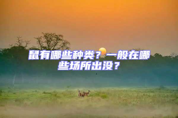 鼠有哪些種類？一般在哪些場所出沒？