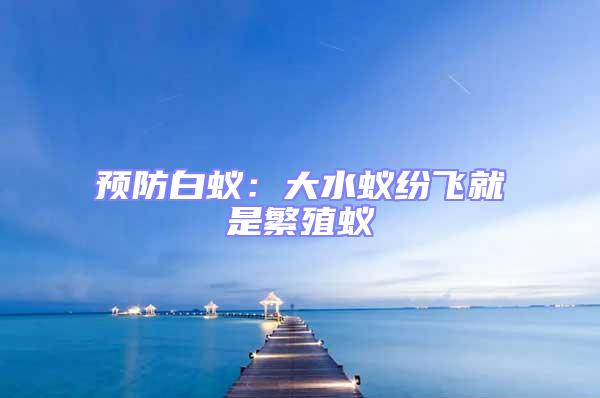 預防白蟻：大水蟻紛飛就是繁殖蟻