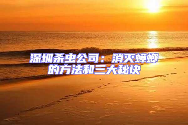 深圳殺蟲公司：消滅蟑螂的方法和三大秘訣