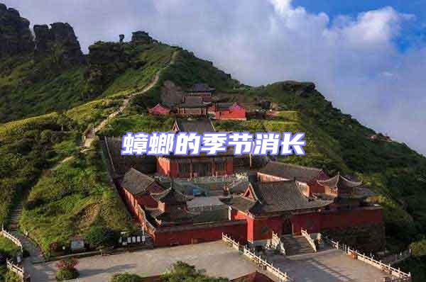 蟑螂的季節消長