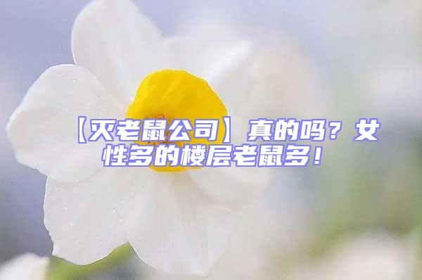 【滅老鼠公司】真的嗎？女性多的樓層老鼠多！