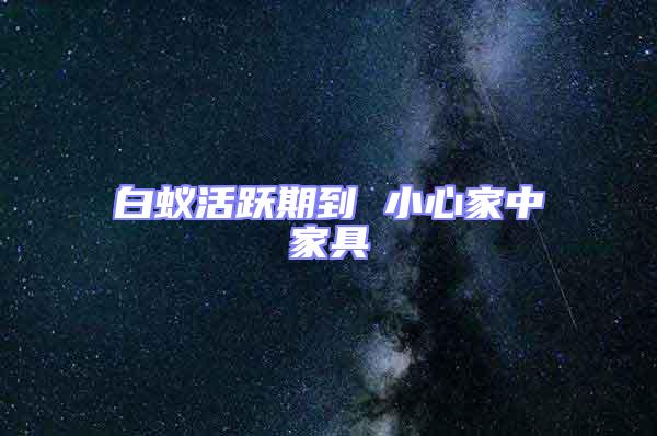 白蟻活躍期到 小心家中家具