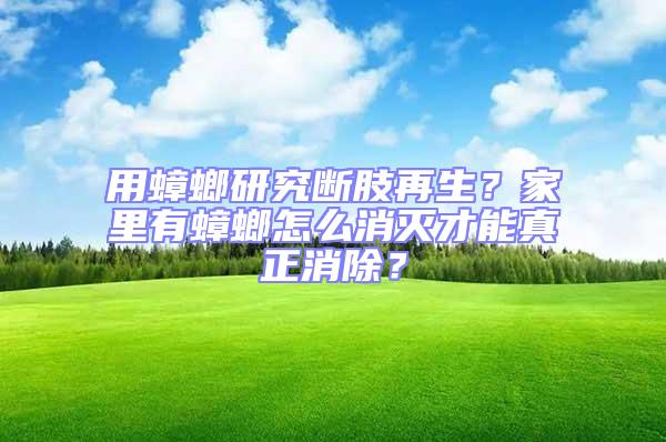 用蟑螂研究斷肢再生？家里有蟑螂怎么消滅才能真正消除？