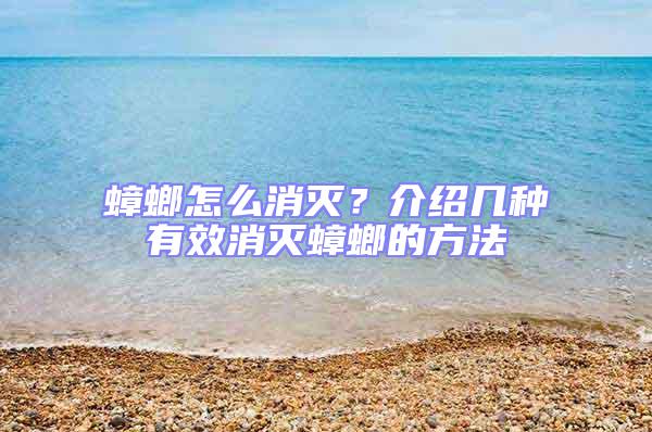 蟑螂怎么消滅？介紹幾種有效消滅蟑螂的方法