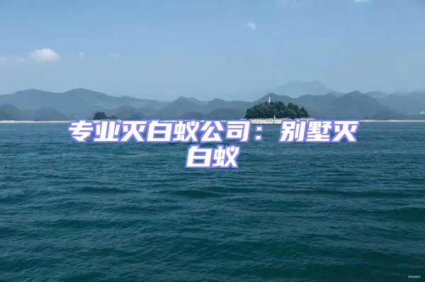 專業滅白蟻公司：別墅滅白蟻