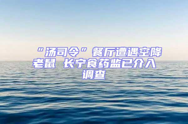 “湯司令”餐廳遭遇空降老鼠 長(zhǎng)寧食藥監(jiān)已介入調(diào)查