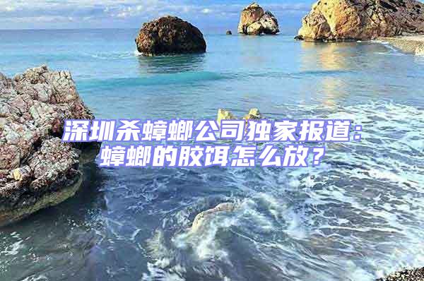 深圳殺蟑螂公司獨(dú)家報(bào)道：蟑螂的膠餌怎么放？