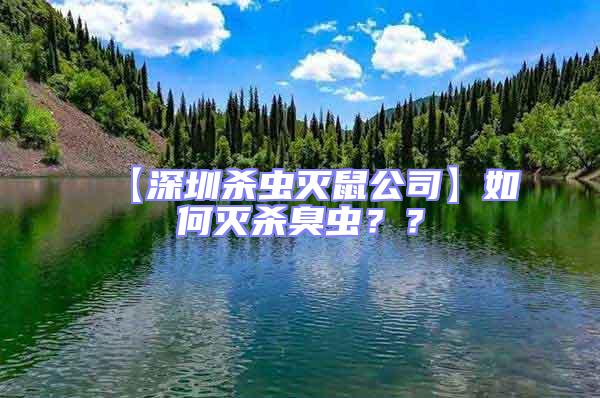【深圳殺蟲(chóng)滅鼠公司】如何滅殺臭蟲(chóng)？？