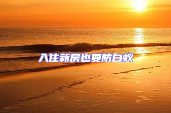 入住新房也要防白蟻