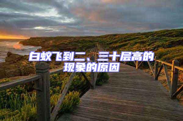 白蟻飛到二、三十層高的現象的原因