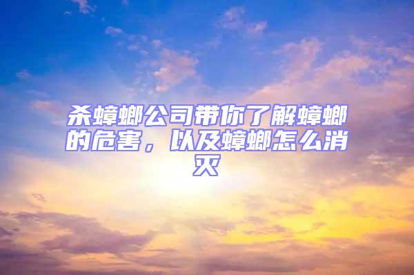 殺蟑螂公司帶你了解蟑螂的危害，以及蟑螂怎么消滅