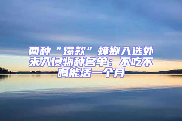 兩種“爆款”蟑螂入選外來入侵物種名單：不吃不喝能活一個(gè)月