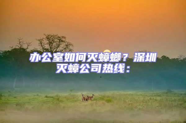 辦公室如何滅蟑螂？深圳滅蟑公司熱線：