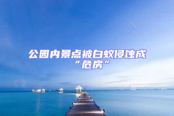 公園內(nèi)景點(diǎn)被白蟻侵蝕成“危房”