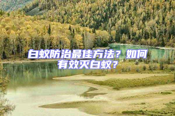 白蟻防治最佳方法？如何有效滅白蟻？