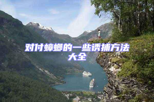 對付蟑螂的一些誘捕方法大全