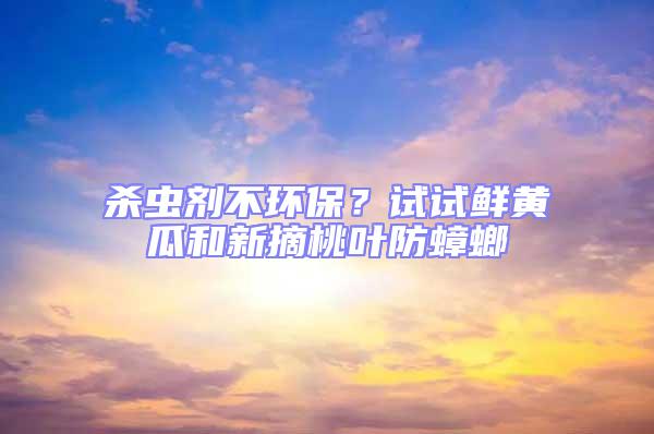 殺蟲劑不環(huán)保？試試鮮黃瓜和新摘桃葉防蟑螂