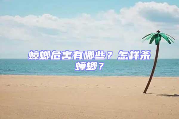 蟑螂危害有哪些？怎樣殺蟑螂？