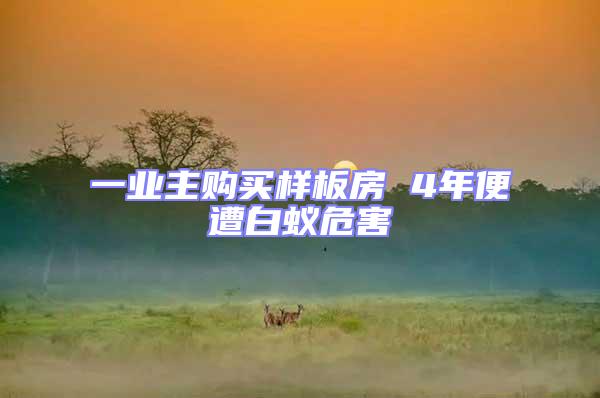一業(yè)主購(gòu)買樣板房 4年便遭白蟻危害