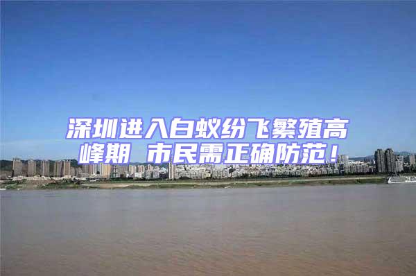 深圳進入白蟻紛飛繁殖高峰期 市民需正確防范！