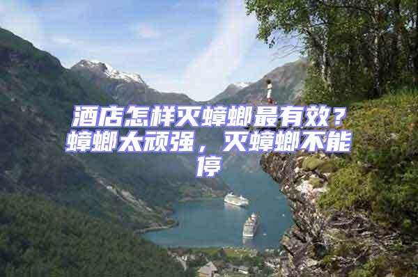 酒店怎樣滅蟑螂最有效？蟑螂太頑強，滅蟑螂不能停