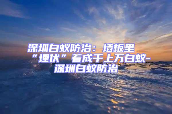 深圳白蟻防治：墻板里“埋伏”著成千上萬白蟻-深圳白蟻防治