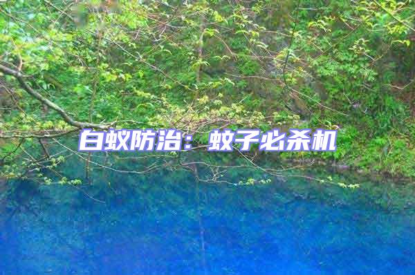 白蟻防治：蚊子必殺機