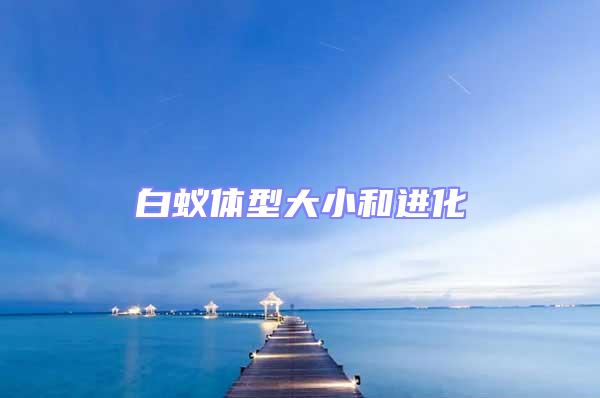 白蟻體型大小和進化