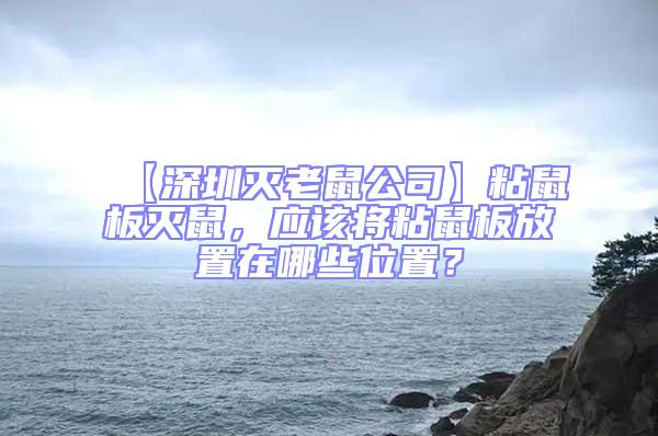 【深圳滅老鼠公司】粘鼠板滅鼠，應該將粘鼠板放置在哪些位置？
