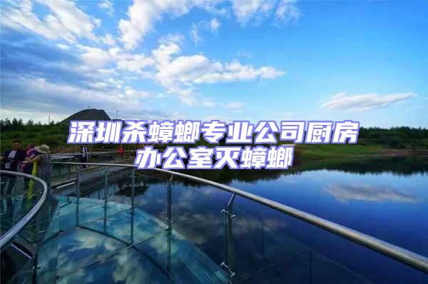 深圳殺蟑螂專業公司廚房辦公室滅蟑螂
