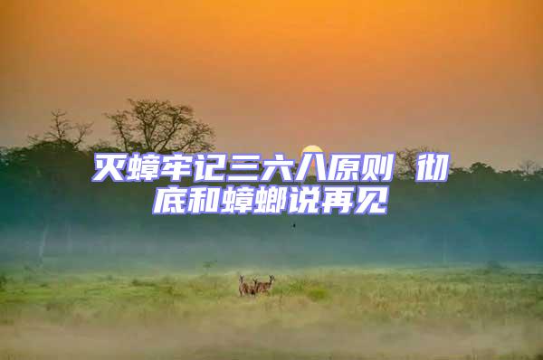 滅蟑牢記三六八原則 徹底和蟑螂說再見