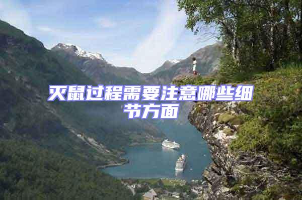 滅鼠過(guò)程需要注意哪些細(xì)節(jié)方面