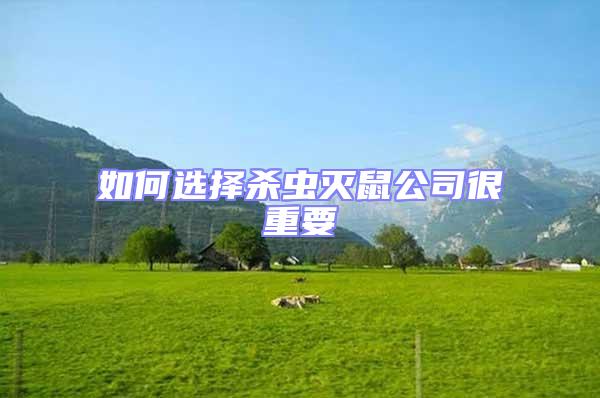 如何選擇殺蟲滅鼠公司很重要