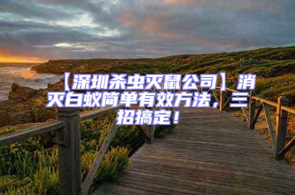 【深圳殺蟲滅鼠公司】消滅白蟻簡單有效方法，三招搞定！