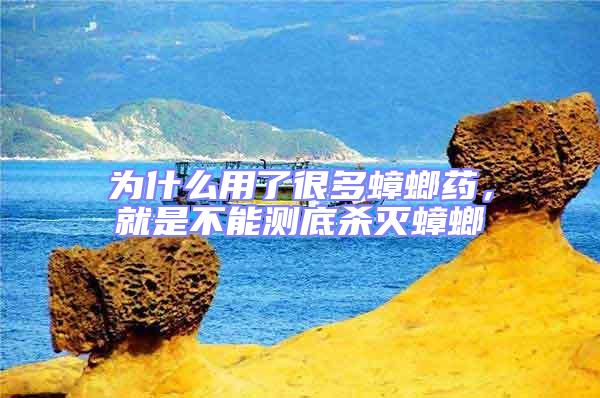 為什么用了很多蟑螂藥，就是不能測底殺滅蟑螂