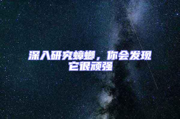 深入研究蟑螂，你會發現它很頑強