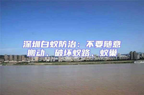 深圳白蟻防治：不要隨意搬動、破壞蟻路、蟻巢