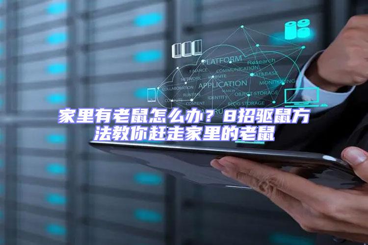 家里有老鼠怎么辦？8招驅鼠方法教你趕走家里的老鼠