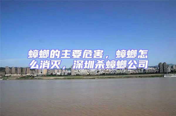 蟑螂的主要危害，蟑螂怎么消滅，深圳殺蟑螂公司