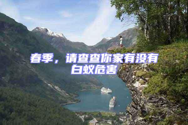 春季，請查查你家有沒有白蟻危害