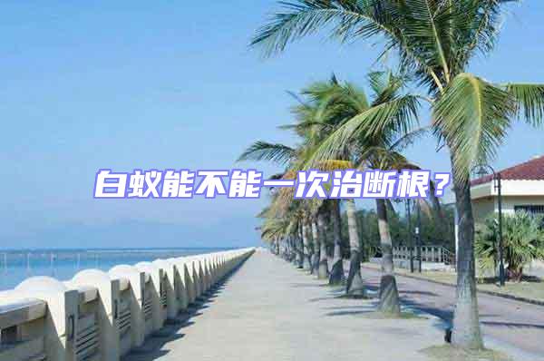 白蟻能不能一次治斷根？
