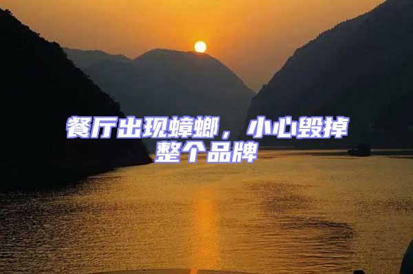 餐廳出現(xiàn)蟑螂，小心毀掉整個(gè)品牌