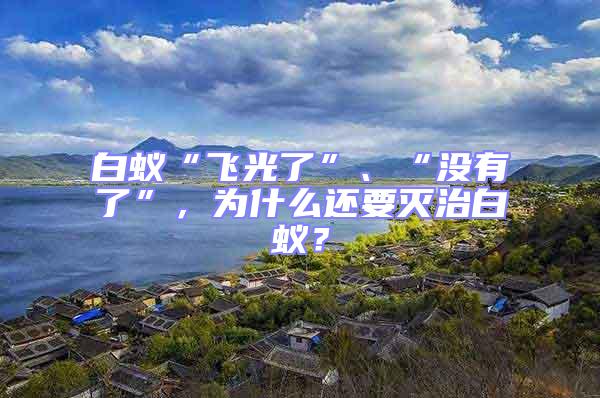 白蟻“飛光了”、“沒有了”，為什么還要滅治白蟻？