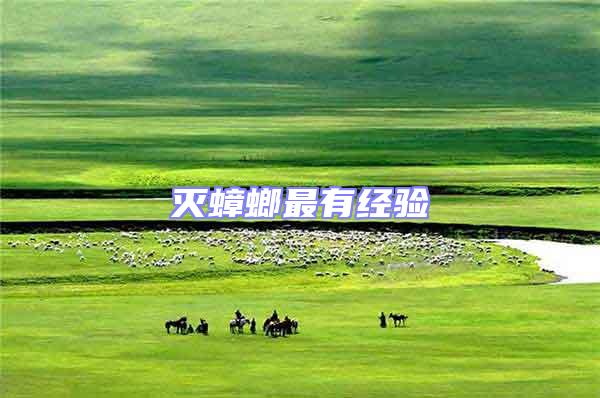 滅蟑螂最有經驗